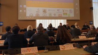 Día Internacional de la Paz en la ONU en Ginebra: de qué manera trabajan las nuevas religiones perseguidas por la armonía y la justicia mundial