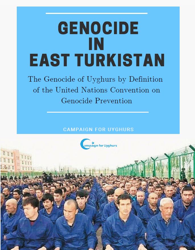 genocidio en el este de turkistan