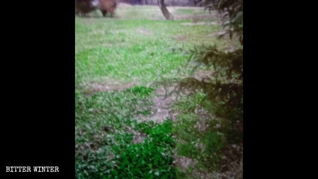 La Plaza de los Mil Budas ha sido convertida en un terreno cubierto de césped.